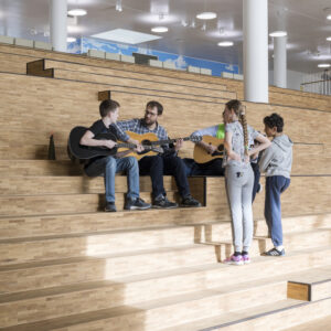 Copenhagen International School